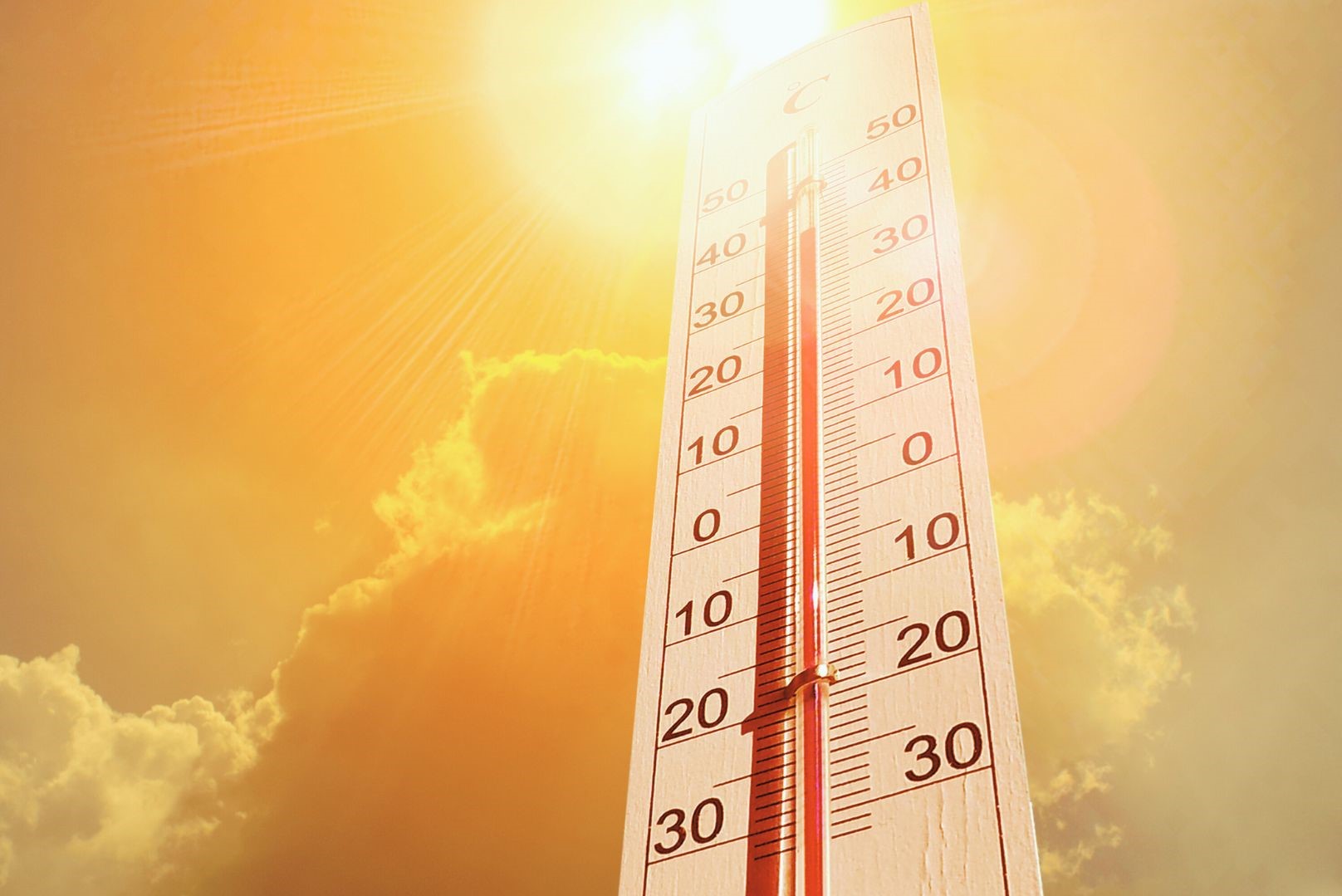 Правила поведения в жару